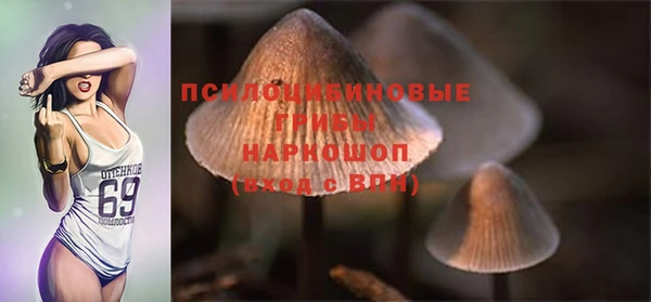 сатива Приозерск