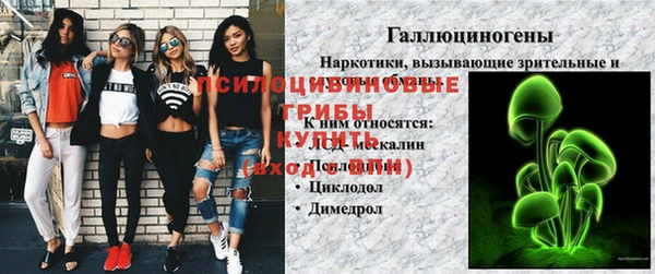 мяу мяу мука Пролетарск