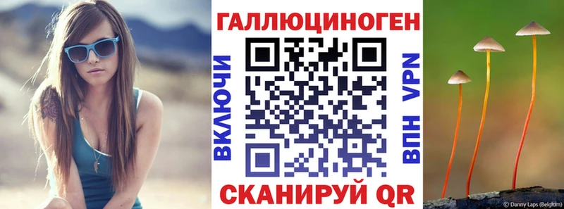 Псилоцибиновые грибы мухоморы  купить наркоту  Светлогорск 