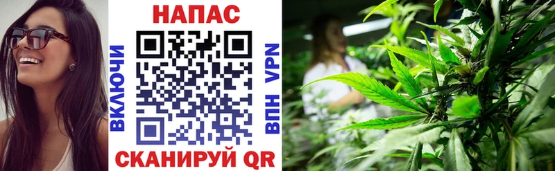 купить наркоту  Светлогорск  МАРИХУАНА OG Kush 